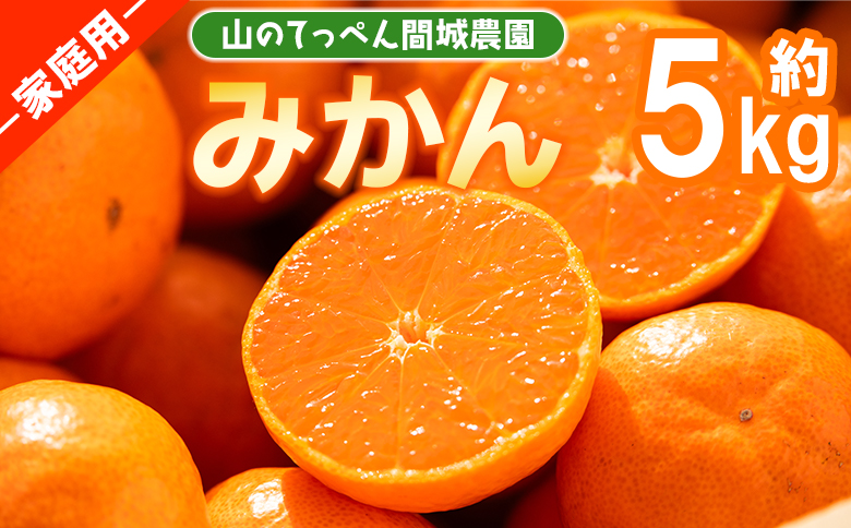 山のてっぺん 間城農園 みかん (家庭用) 約5kg - 果物 くだもの フルーツ 柑橘 温州みかん ミカン 送料無料 数量限定 期間限定 高知県 香南市【常温】 ms-0074