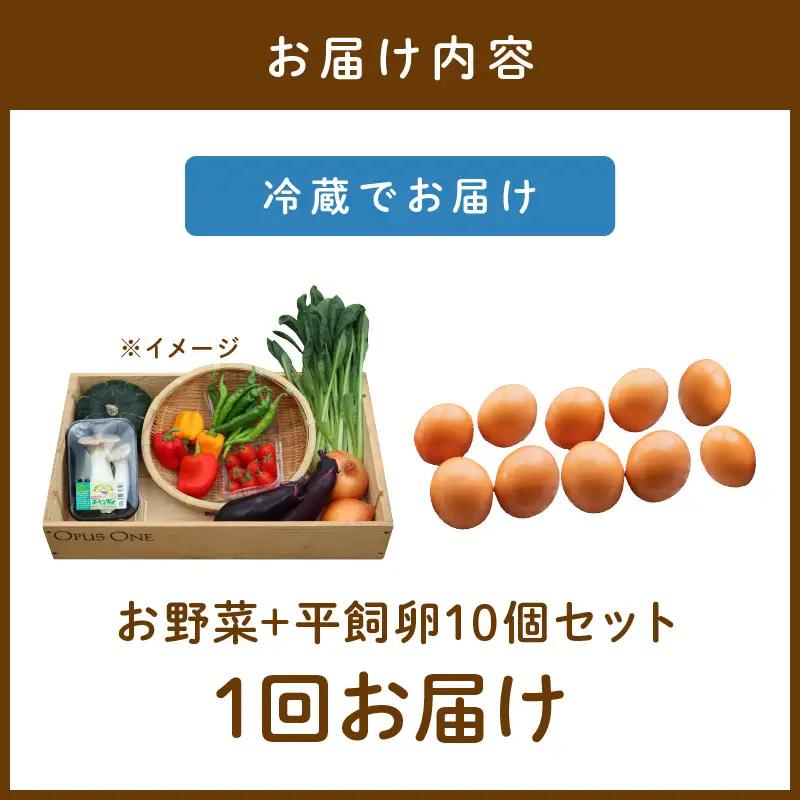 有機野菜・京野菜の『京都やおよし』のお野菜＆平飼玉子10個の詰め合わせ