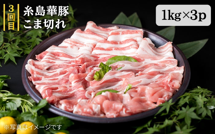 定期便 博多 華豚 地鶏 焼肉 BBQ すき焼き しゃぶしゃぶ 黒毛 和牛