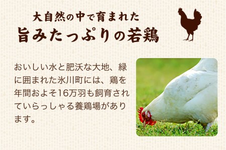 熊本県産 若鶏むね肉 約2kg/もも肉 約2kg 各1袋 たっぷり大満足！計4kg！《1月下旬-3月下旬頃出荷》 鶏肉 とりにく チキン 冷凍