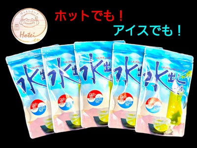 13-10 お茶 川根茶  ティーバッグ 静岡茶/水出し緑茶  ホットでもアイスでも　(5g×20P)×5袋