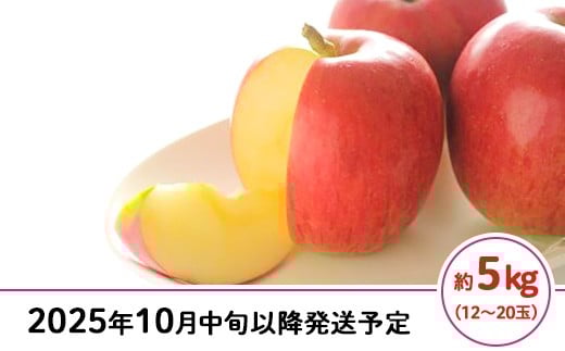 
            J0524長野市産シナノスイート（家庭用）5kg【2025年10月中旬以降発送予定】（矢島農園）
          