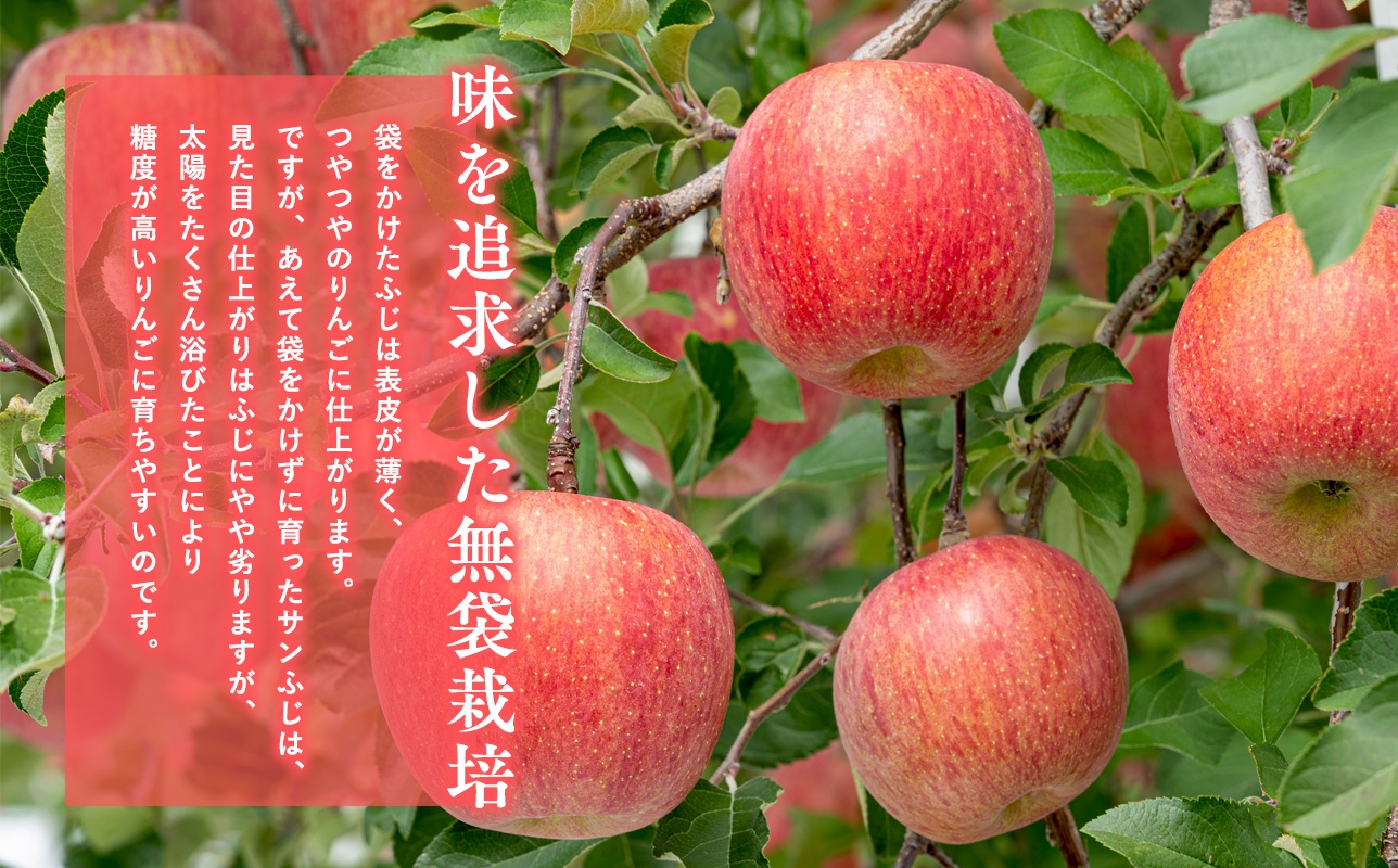 1月 サンふじ約3kg 糖度13度以上 【平川市・森山商店】 