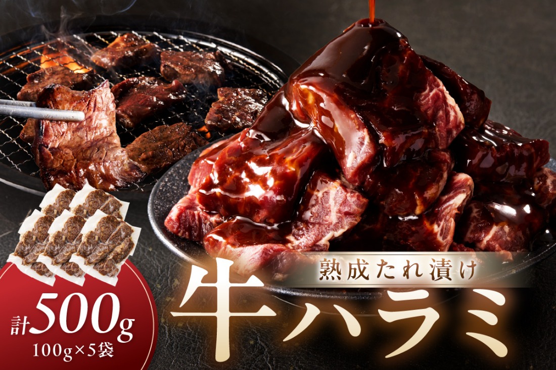 たれ漬けハラミ 1パック100ｇ×5袋　NH00045