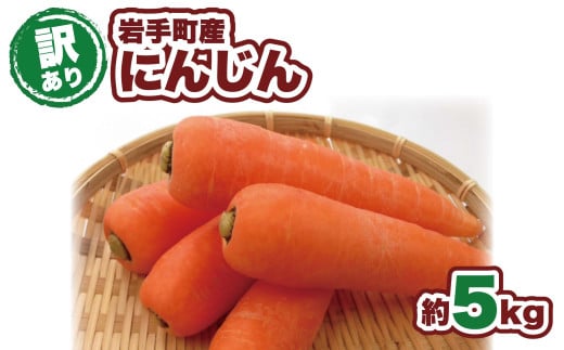 【訳アリ】岩手町産の旬野菜（にんじん）約5㎏ ニンジン 人参 大容量 ５kg  ワケアリ 訳あり 家庭用 規格外 不揃い 産地直送 送料無料 岩手県 岩手町