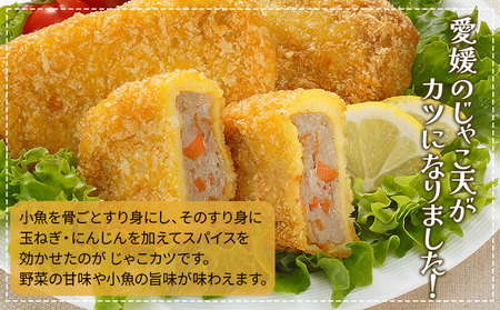 ＜じゃこカツ小判（未加熱）5個入り×2袋＞ 合計10個 お惣菜 小魚 さかな 魚介 すり身 じゃこ天 フライ 揚げ物 加工品 特産品 おつまみ おかず お弁当 バーガー カレー 国産 おがた蒲鉾 愛媛