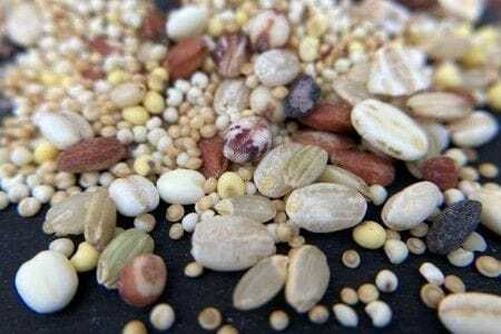 十五穀米 二種もち麦 2種4個セット（計1,200g・各300g） 雑穀米 もち麦