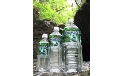 秩父源流水500ml×24本　2箱 ／ ナチュラルウォーター 500ml 48本 軟水飲みやすい 水 飲み水 料理用 備蓄 家庭用 常温 炊飯 キャンプ　ミネラルウォーター ペットボトル お水 平成の名水百選 武甲山伏流水 軟水 弱アルカリ性 埼玉県 No.519