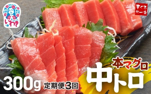 【定期便/計3回】本マグロ中トロ300g（計900g）|解凍レシピ付 1サクずつ真空包装  脂の甘みと濃厚赤身が絶妙なバランス