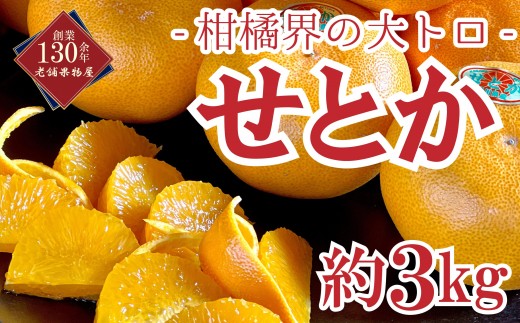 せとか 約3kg 柑橘界の大トロ フルーツ 果物 柑橘 柑橘類 オレンジ みかん 旬 季節のフルーツ 旬のフルーツ デザート おやつ 旬の果物 季節の果物 香川 香川県 丸亀 丸亀市 先行 予約 20