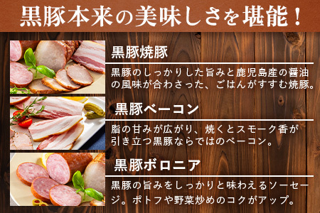 南州農場 黒豚バラエティセットA（3424）