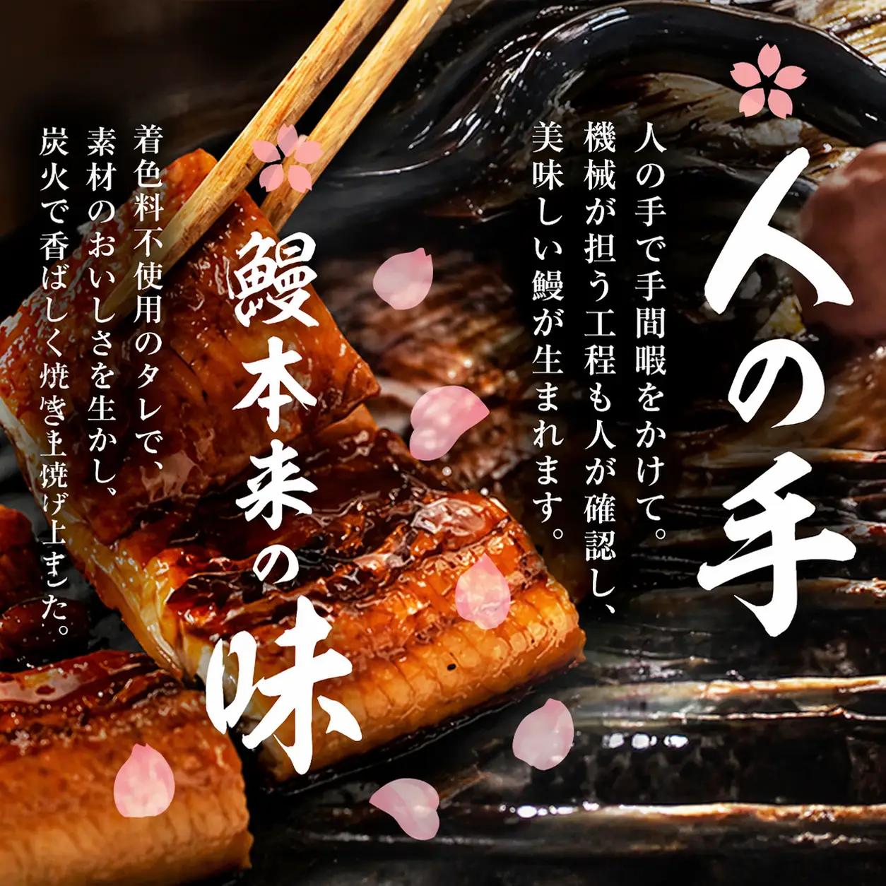 柳澤 流水桜 うなぎ 蒲焼き 5尾(600g) a9-040