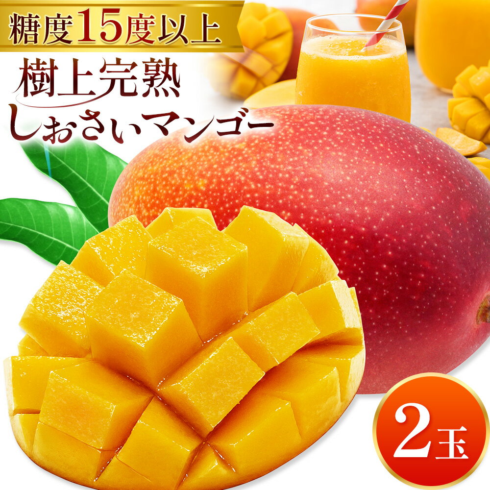 【ふるさと納税】マンゴー 果物 和歌山県産 樹上完熟しおさいマンゴー 2玉 《2026年7月下旬-9月中旬頃出荷》 日高町厳選館 和歌山県 日高町 フルーツ 完熟 送料無料 贈答 プレゼント ご褒美 青果物