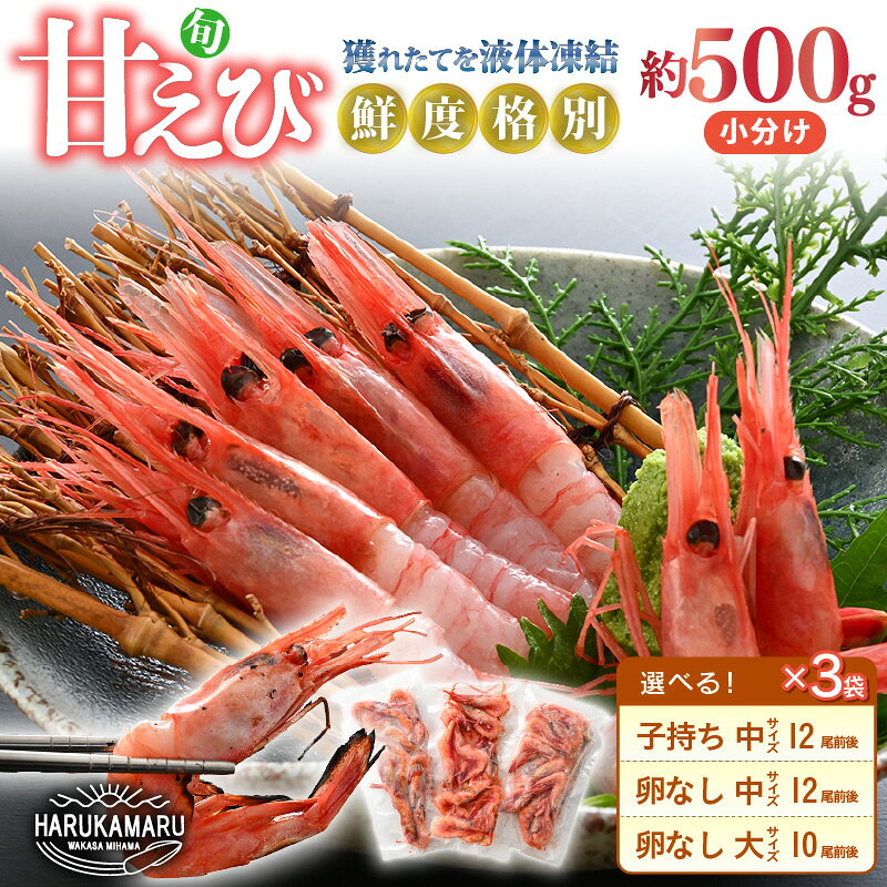【ふるさと納税】旬子持ち甘えび 小分け【選べる内容量：中サイズ(卵無し)/中サイズ(子持ち)/大サイズ(卵無し)】鮮度格別 獲れたてを液体凍結えび エビ 海老 甘エビ 甘えび 甘海老 人気 海鮮 お刺身 魚介 海鮮丼 生食 お造り 無添加 冷凍 急速冷凍 福井県産