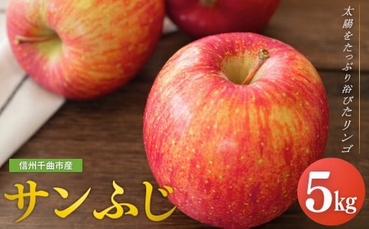【2026年先行予約】りんご サンふじ 約5kg 中島農園| 林檎 リンゴ アップル 果物 くだもの フルーツ ふじ フジ さんふじ 富士 5キロ お取り寄せ 産地直送 長野県産 信州林檎 信州りんご 信州 長野 千曲市