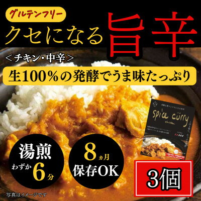 【ふるさと納税】発酵スパイスカレー3個 ★5種のスパイスと白山麓のW発酵 芳醇な香り&クセになる旨辛 グルテンフリー【配送不可地域：離島】【1376651】