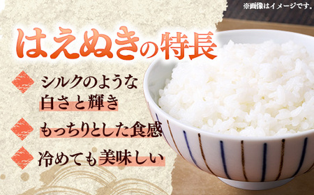 マイスターがつくる はえぬき 白米 5kg 令和7年産 - 山形県 飯豊町産 米 精米 銘柄 ブランド米 林七【価格改定】