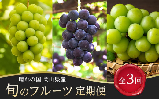 
            フルーツ 定期便 2026年  晴れの国 岡山県産 旬のフルーツ定期便 3回コース 葡萄 ぶどう 岡山県産 国産 セット ギフト
          