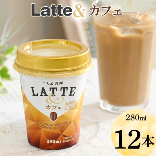 DT03_latte&　カフェ　12本
※着日指定不可