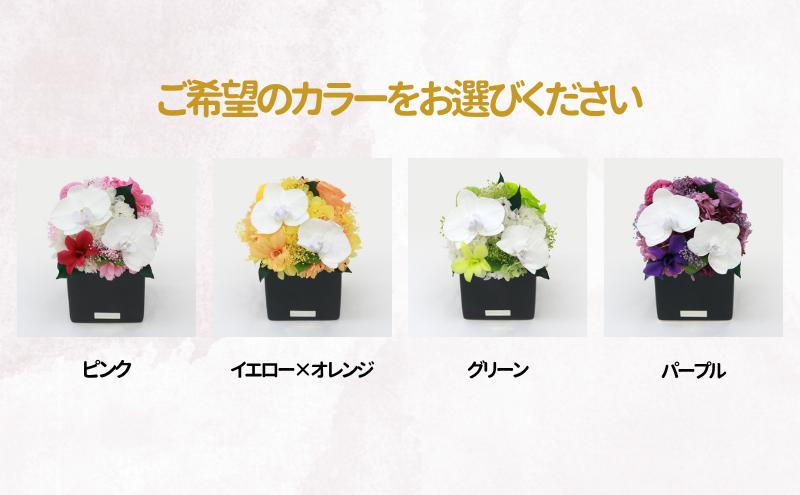 胡蝶蘭キューブM 花 お花 プリザーブドフラワー ギフト プレゼント お祝い 誕生日 お供え アレンジ インテリア 東京都 墨田区【グリーン】