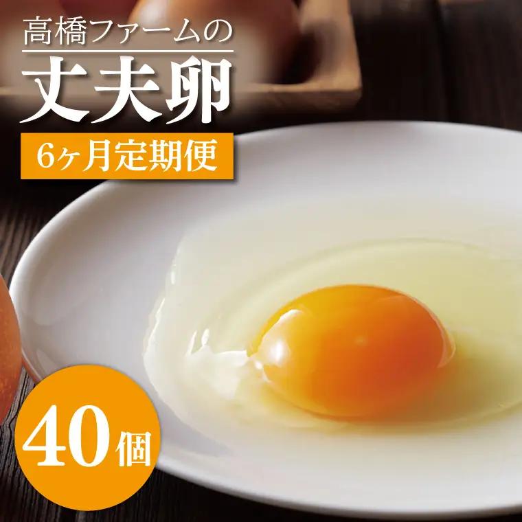 平飼いたまご 定期便 40個 年6回 高橋ファームの丈夫卵 もみじ AQ015