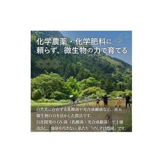 縁起米 3合 ブレンド米
