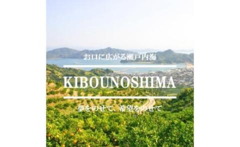 愛果28号 家庭用 約3kg 【12月中旬から発送予定】 愛媛 中島産  愛媛県産 みかん 柑橘 希望の島
