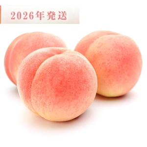 桃 和歌山県産 白鳳 11～15玉 秀品 ※2026年6月下旬～発送【mtgn045】