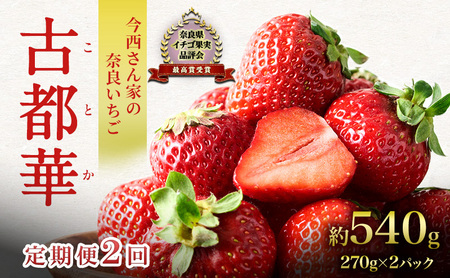 定期便 2回 いちご 奈良県産 古都華 約540g 270g×2パック 今西さん家の奈良いちご ことか 冷蔵配送 BN001
