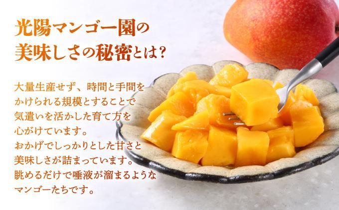 ＜先行予約・数量限定＞アップルマンゴー 良品（2kg）|マンゴー 限定 良品 沖縄県 南城市 2kg 冷蔵 予約 先行受付 アップルマンゴー 送料無料 KM004 良品（2kg）