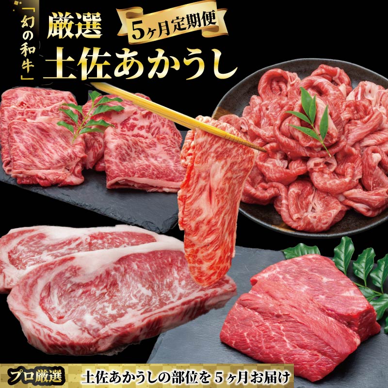 【ふるさと納税】 希少 土佐あかうし 定期便 5回 定期便 5回 土佐あかうし 厳選部位 牛肉 もも肉 ブロック サーロイン ステーキ しゃぶしゃぶ用 スライス カルビ 焼肉用 冷凍 国産 国産牛 和牛 ブランド牛 赤身 お肉 にく 高知県産 安田町 MT-13