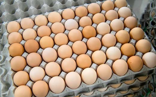 ＜定期便＞【Mサイズ 45個×12ヶ月コース】45個（40個＋割れ補償5個） 安心・安全な『下川六〇酵素卵』を毎日の食卓に！ 下川ろくまる あべ養鶏場 割れ補償付き ブランド卵 たまご 玉子 タマゴ 