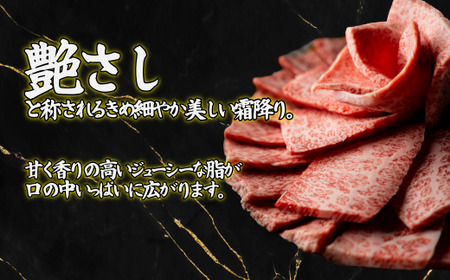 佐賀牛 赤身ステーキ 450g：B150-066