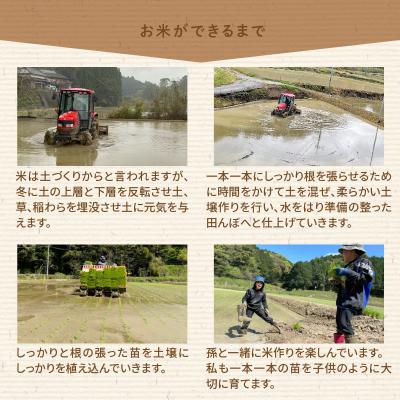 ふるさと納税 天草市 〈令和8年産〉熊本県天草産　天草の大地の恵み　新米コシヒカリ6kg【先行受付】_S108-003A |  | 02