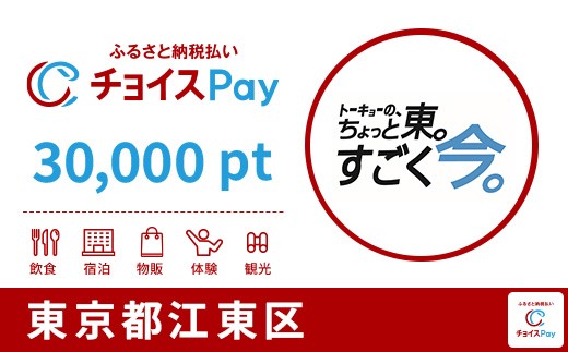 
                  江東区チョイスPay 30,000pt【会員限定のお礼の品】
                