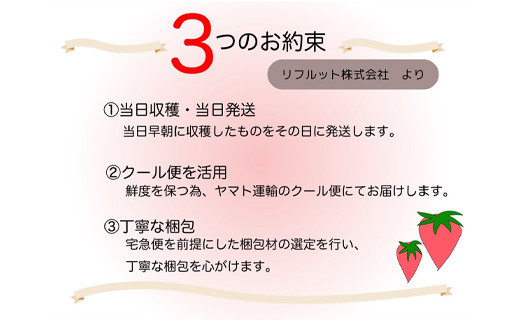 朝採苺の当日発送・クール便の活用をお約束しており、新鮮な状態でお届けします。