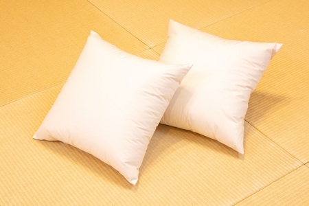 白州洗いの羽毛クッション　2個セット　ダウン50％ 50×50ｃｍ　740g クッション 羽毛 2個セット 50×50ｃｍ ダウン 50％ 740g ホテル仕様 日本製 白州洗いの羽毛クッション 新生
