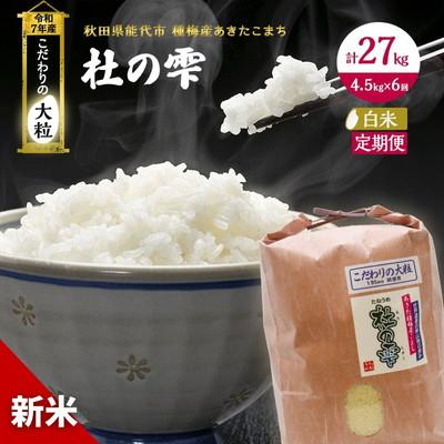 ふるさと納税 能代市 新米 定期便6ヶ月 精米 あきたこまち 4.5kg 6回[No.5335-0473]
