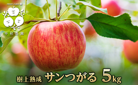 2026年産先行予約 りんご 5kg 樹上熟成 サンつがる 林檎 リンゴ 果物 くだもの フルーツ 旬の果物 旬のフルーツ 季節の果物 季節のフルーツ 美味しい果物 長野県産 長野県産りんご 信州 長野 長野県 長野市