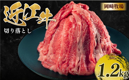 近江牛 切り落とし肉 1.2kg 完熟近江牛 1200g ふるさと納税 国産 和牛 切り落し 岡﨑牧場 切落し 近江 牛肉 切り落とし牛肉 近江牛 和牛肉 和牛近江牛 国産牛肉 日野町近江牛 ぎゅうにく おうみぎゅう おうみ牛 牛 切り落とし 日野牛 薄切り スライス 霜降り きりおとし 近江 牛 松阪牛 神戸牛 に並ぶ 日本三大和牛 長期肥育 滋賀県 日野町 岡崎 岡﨑精肉店 近江日野牛 凍眠