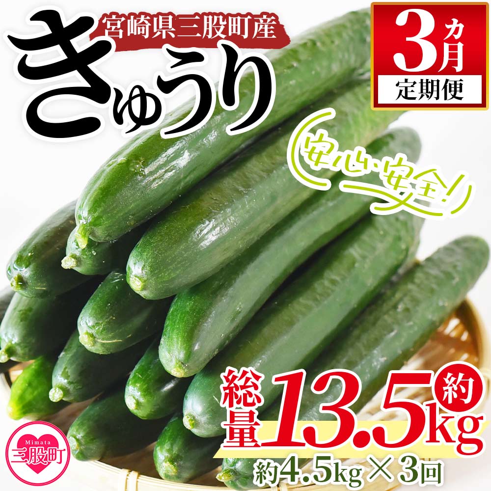 ＜【3ヵ月定期便】【期間限定】パリッと甘い魔法のきゅうり マジキュー約4.5kg×3回＞(総量約13.5kg・約4.5kg×3回)パリッと甘い魔法のキュウリ「マジキュー」漬物や天ぷらに！【MI200-yt】【ゆたか農園】