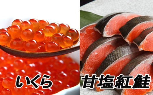 F-70003 甘塩紅鮭5切×5P、いくら醤油漬け100g×3P