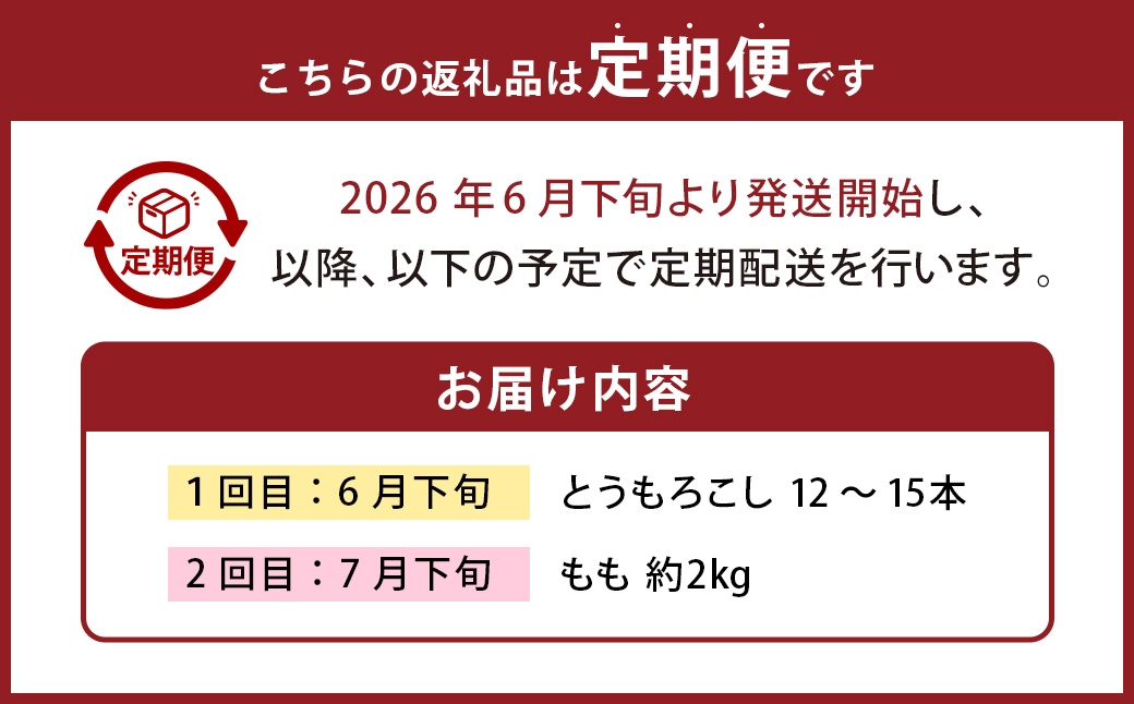 【 2回定期便 】 中央市産 とうもろこし、もも