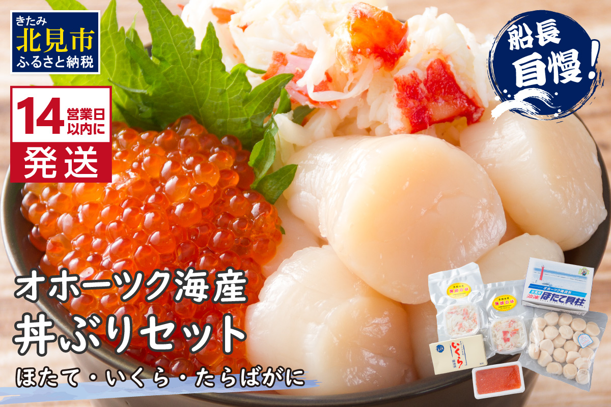 《14営業日以内に発送》ホタテとイクラとカニを食べつくす！船長おすすめのオホーツク丼ぶりセット ( オホーツク海 ホタテ ほたて 貝 魚介類 カニ かに 蟹 イクラ いくら 魚卵 鮭卵 鮭 さけ 海鮮丼 おつまみ 冷凍 )【114-0088】