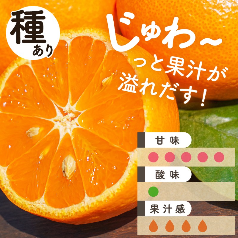 【2027年発送 先行予約品】