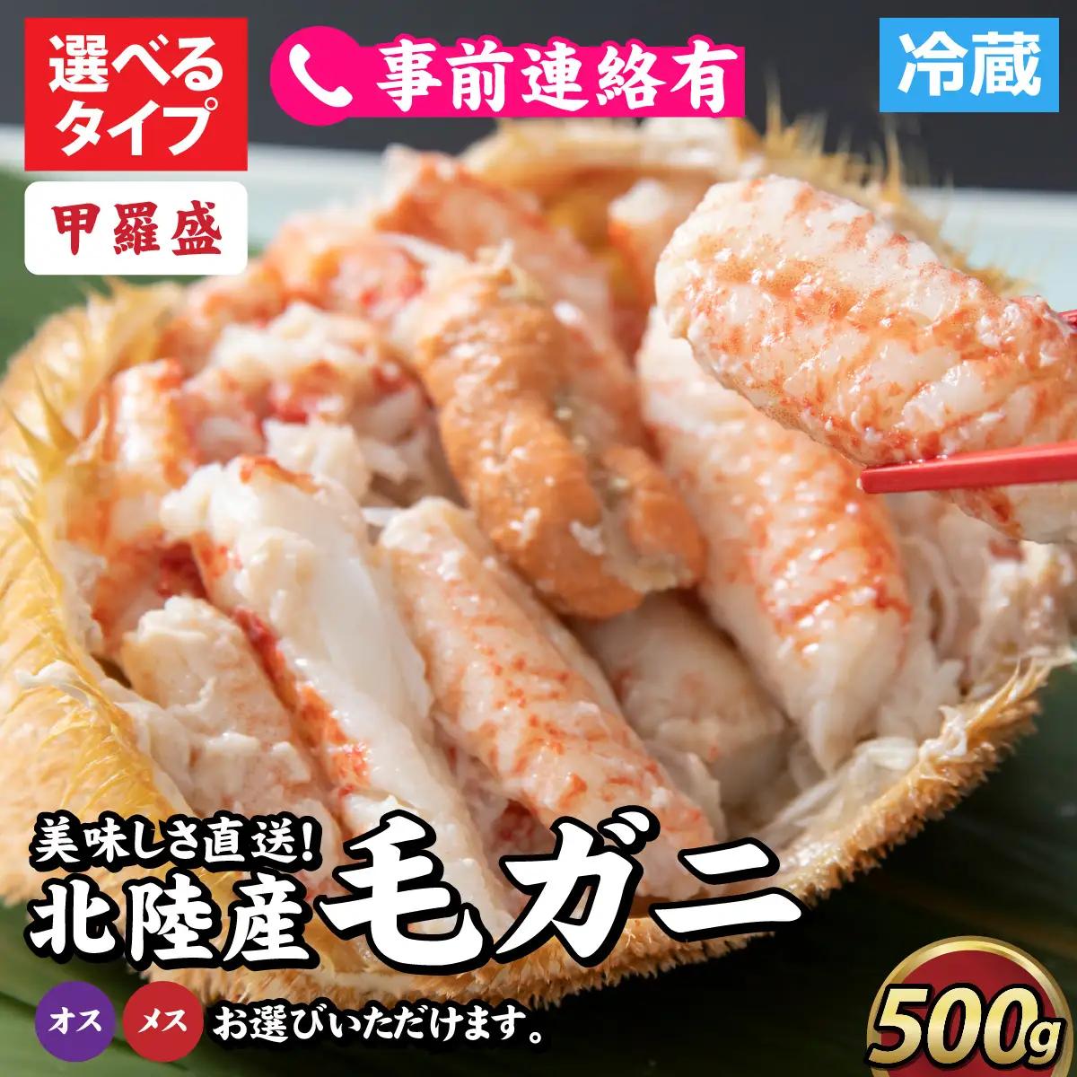 【甲羅盛】【成前特選】美味しさ直送！北陸産毛ガニ500ｇ前後×1杯（オス、メス） [B-028006_02] / 毛ガニ