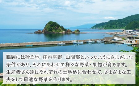 いろどり野菜セット (約8～10種類程度) 3㎏以上 山形県鶴岡産 やさいろ