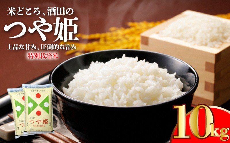 
                  つや姫 計10kg 5kg×2袋 特別栽培米 令和7年産米 米 白米 精米 ブランド 東北 山形 酒田 庄内 農協 JAそでうら　SC0693
                