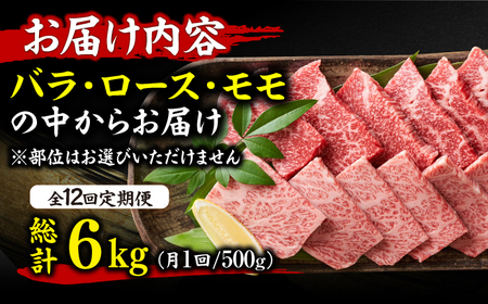 【全12回定期便】【和牛の旨味を堪能！】博多和牛焼肉用 500g 広川町/株式会社MEAT PLUS[AFBO072]