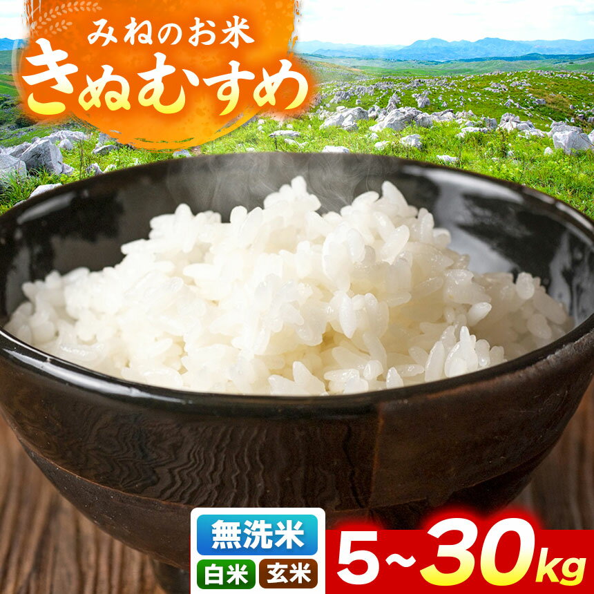 【ふるさと納税】 令和7年度産 きぬむすめ 白米、玄米、無洗米 (5kg~30kg ) 【 精米種別・容量を選べる 】 ｜ 精米 白米 玄米 無洗米 米 雑穀 お米 コメ 単一米 きぬむすめ 絹娘 山口 美祢 秋吉台